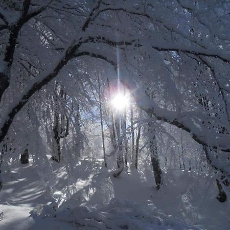Stara Planina Vila Vesela Kuca Jalovik Izvor Kültér fotó