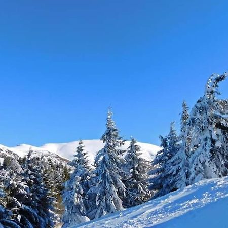 Stara Planina Vila Vesela Kuca Jalovik Izvor Kültér fotó