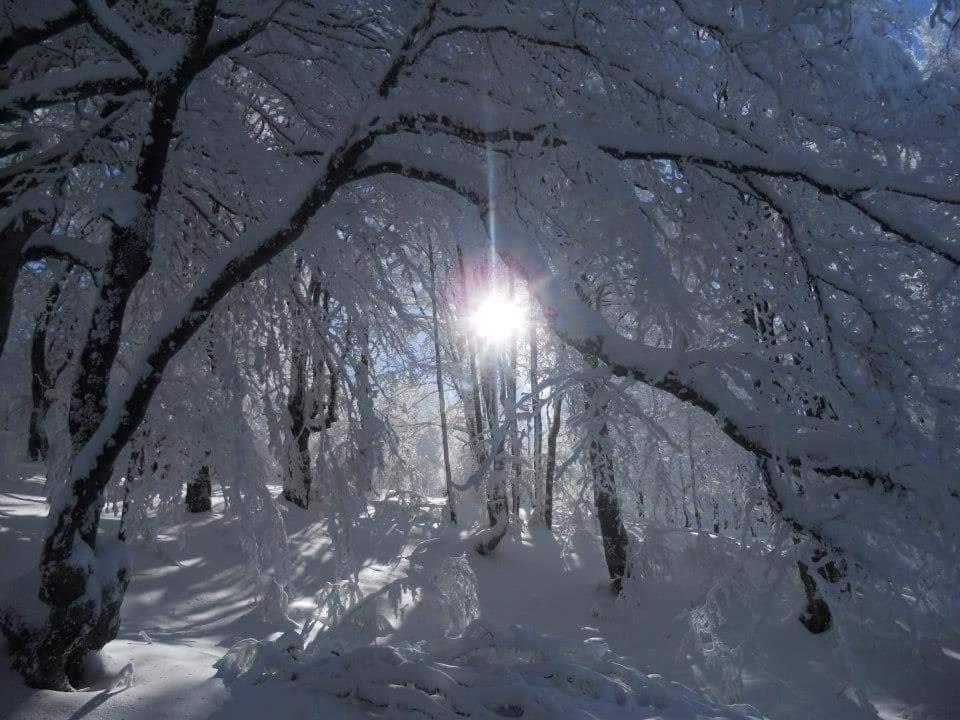 Stara Planina Vila Vesela Kuca Jalovik Izvor Kültér fotó