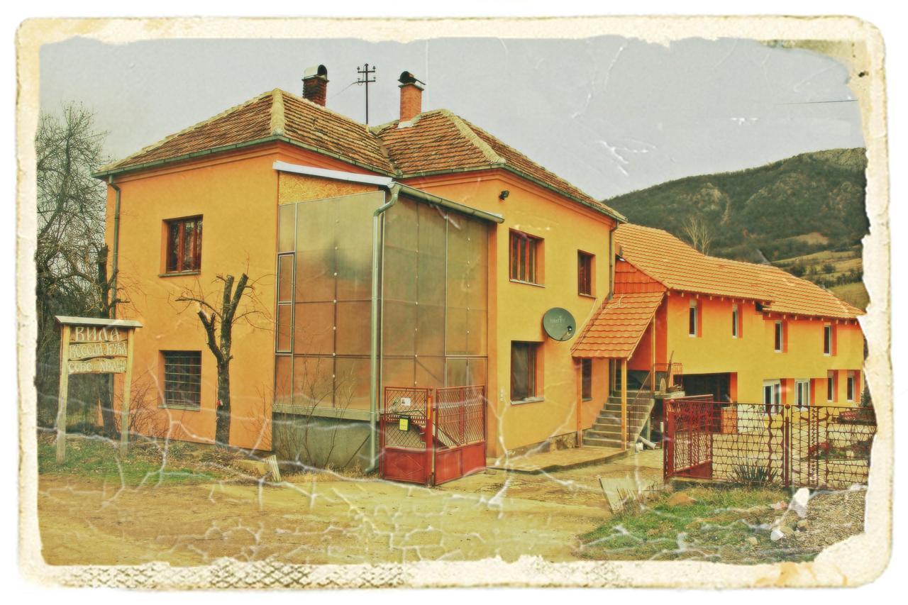 Stara Planina Vila Vesela Kuca Jalovik Izvor Kültér fotó